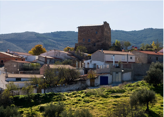 Tahal